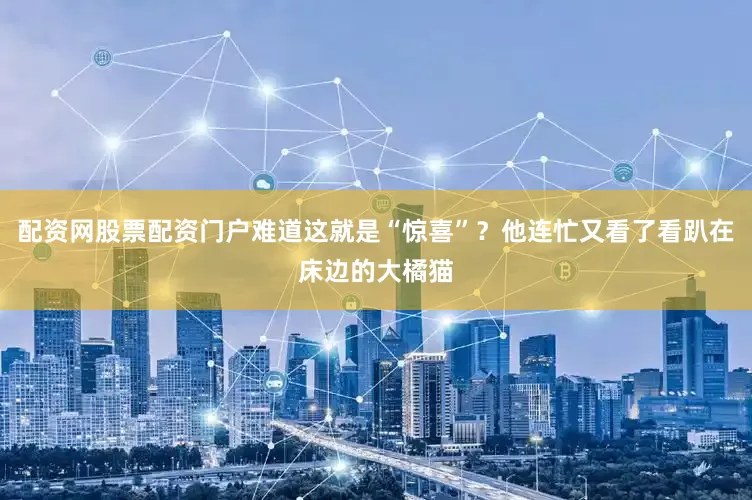 配资网股票配资门户难道这就是“惊喜”？他连忙又看了看趴在床边的大橘猫